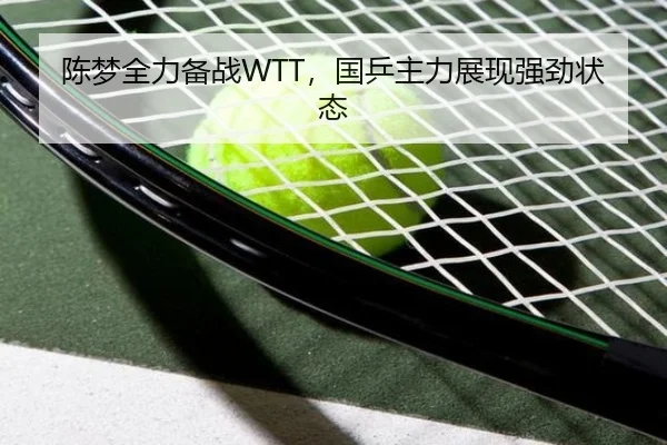 陈梦全力备战WTT，国乒主力展现强劲状态