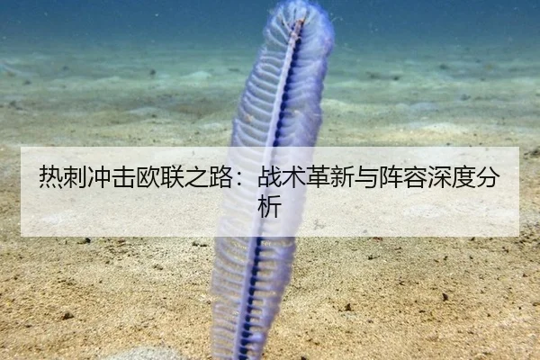 热刺冲击欧联之路：战术革新与阵容深度分析